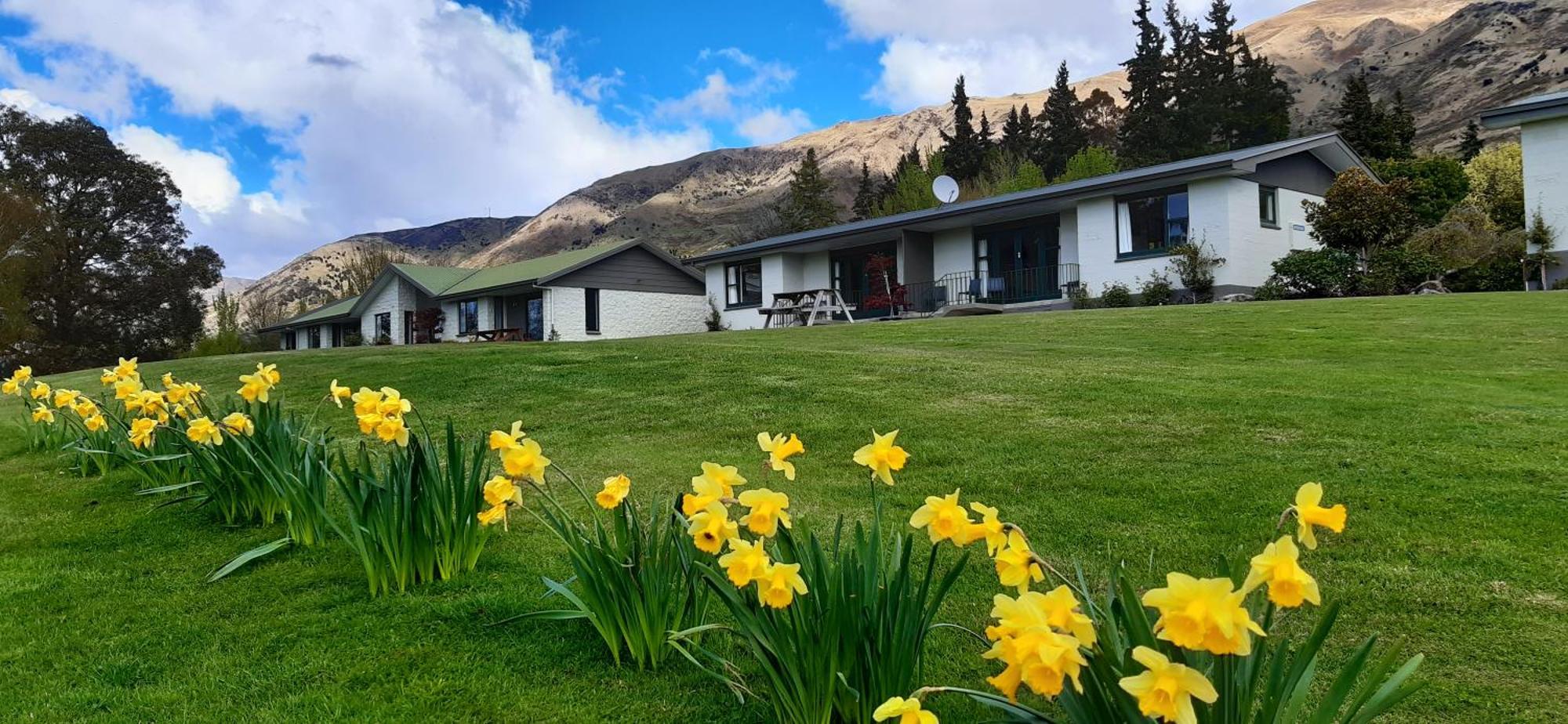 Wanaka Top 10 Holiday Park Dış mekan fotoğraf